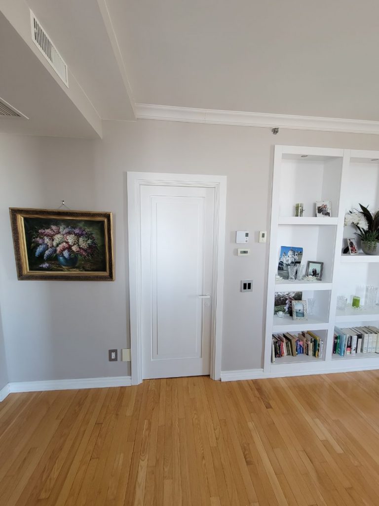 Porte Intérieur en bois massif à peinturer modèle 20100 1 panneau ravalé custom sans moulure shaker deux côtés. cadre fusion avec moulures de finition custom. Colombo Poignée levier Robocinque mortaise magnétique blanc. pentures dissimulés ajustables 3D